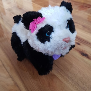 Op de afbeelding: Een zwart-wit pluche panda-speelgoed met een roze strik op zijn hoofd. De panda heeft blauwe ogen en een paarse halsband met een label waarop "Liefde is liefde" staat.