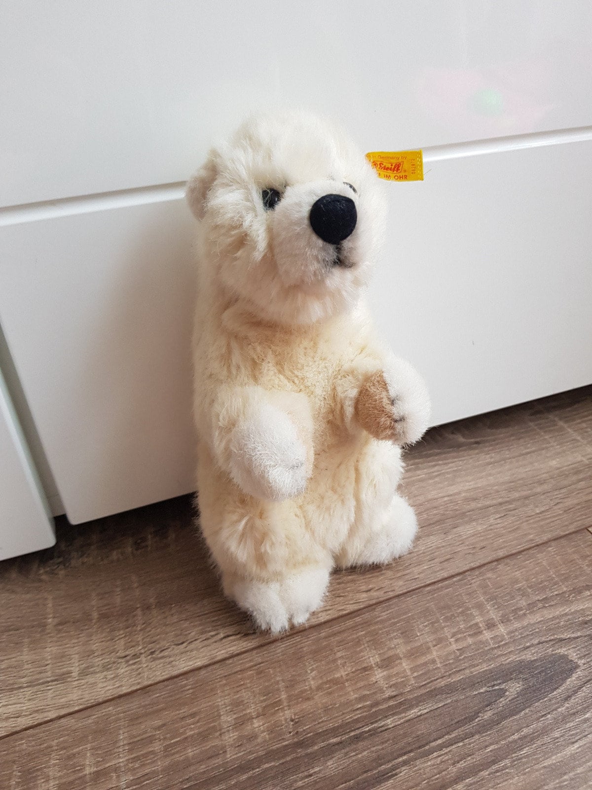 Steiff Polar Bear - Etsy Canada
