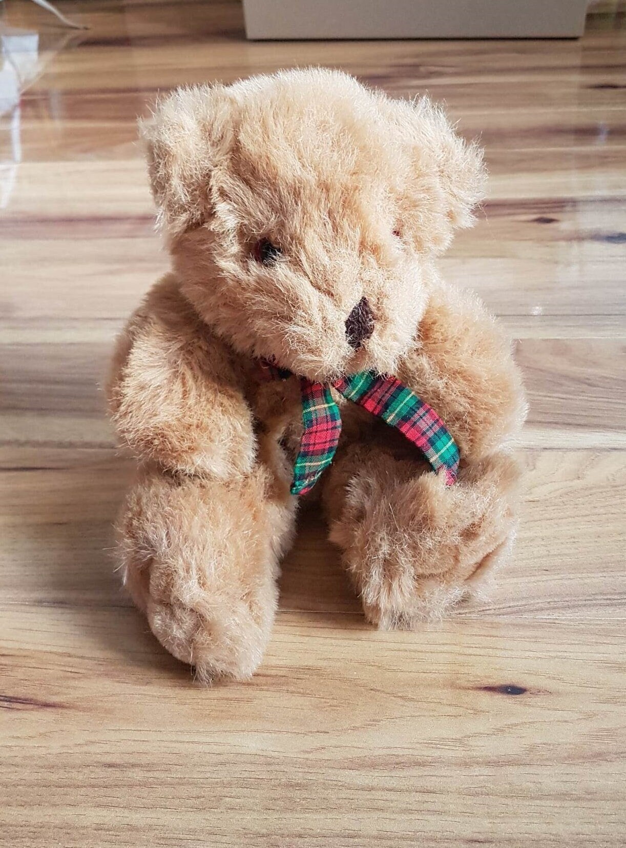 Peeko Plush Bear Etsy