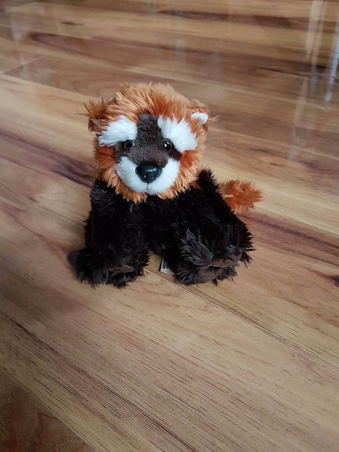 Keel Toys Red Panda Plush Soft Toy Animal Rare - Etsy