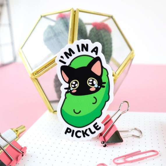 pickle dressed in black Grillo's Utility Jacket  GRILLOS PICKLES