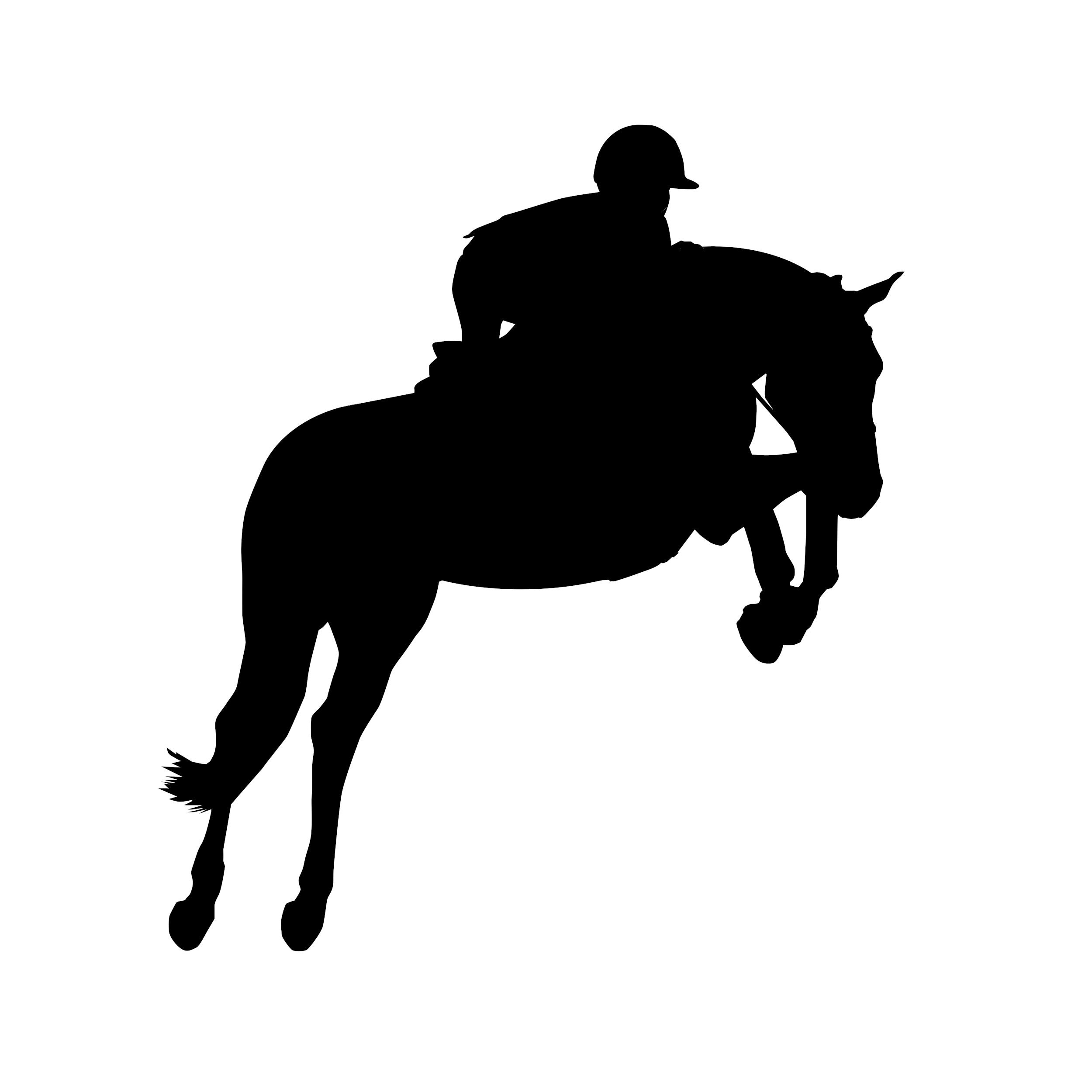 Jumping Horse Silhouette SVG Vector Artwork Download - Etsy