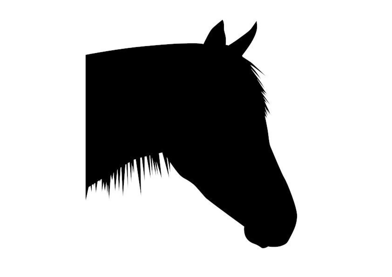 Pferdekopf Silhouette SVG Vektor Kunstwerk Download - Etsy Österreich