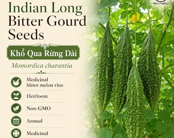 Indian Long Bitter Melon Seeds, Khổ qua rừng gai. Non-GMO Heirloom
