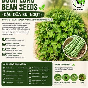 Op de afbeelding: Een informatieve afbeelding voor Bush Long Bean Seeds. De afbeelding bevat tekst, een mand met sperziebonen en een plant. De tekst bevat informatie over de teelt, ongedierte en ziekten, en de zin "Mai's Family."
