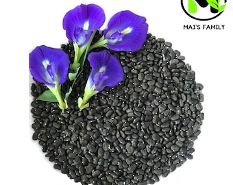 Butterfly Pea Seeds (Clitoria Ternatea)- Hoa Đậu Biếc - Organic