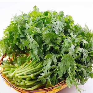 Chrysanthemum Seeds, Shungiku, Tong Ho, Tan Ngo, Cai Cuc, Tan O