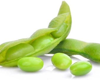 Semillas de soja edamame BeSweet / Vegetal asiático de EE. UU. sin OMG
