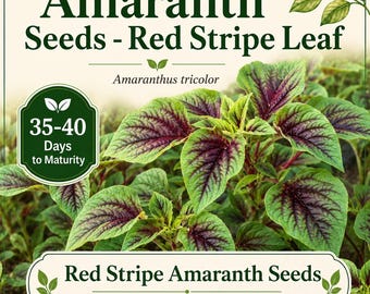 May include: Image of Red Stripe Amaranth seeds. The image features vibrant green leaves with striking red veins. Text on the image includes "Amaranth Seeds - Red Stripe Leaf", "35-40 Days to Maturity", and "Red Stripe Amaranth Seeds".