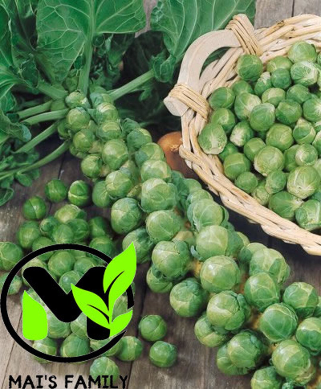 thumbnail image 2 of Long Island Brussel Sprout Seeds – Organic, Non-GMO, Heirloom – Back To Nature Seed Co. 2 of 6