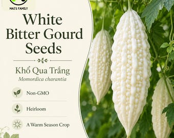 White Skin Bitter Gourd Seeds, Khổ Qua Trắng White Bitter Melon, Heirloom Non-GMO Vegetable Seeds