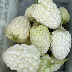 May include: A close-up shot of a collection of white peppers with a bumpy texture. The peppers have green stems and a slightly green hue in some areas. They are arranged in a wooden crate, showcasing their unique appearance.