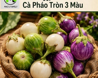 Vietnamese Round Eggplant Seeds Mix, Cà Pháo 3 Màu, Purple Green White, Heirloom Non-GMO
