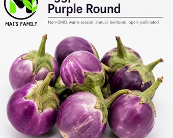 Organic Round Purple Eggplant Seeds, Cà Pháo Tím Vietnamese Eggplant, Heirloom Non-GMO, Solanum melongena