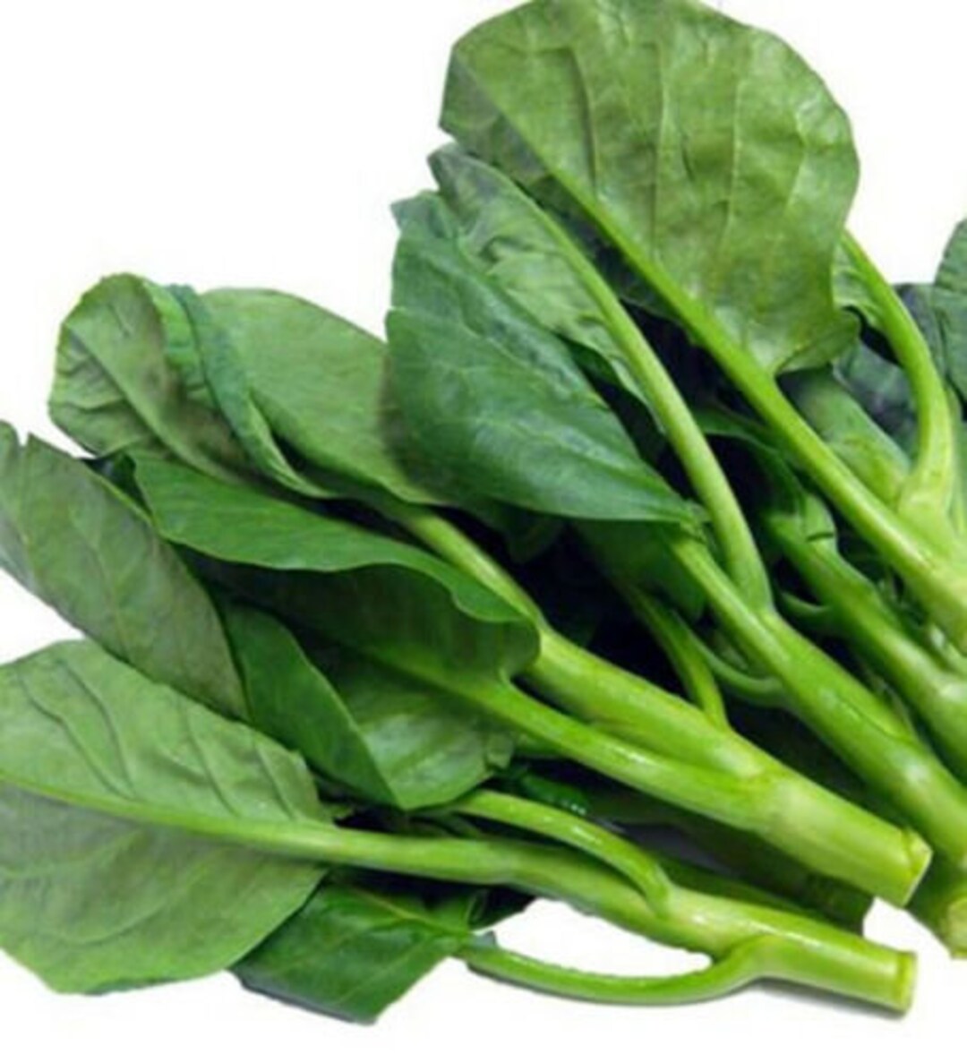 Kale Rabe Vietnam Broccoli Seeds | Cải Rổ Jie Lan Gai Lan Rapini Rabe Kale Stem ...