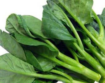 Vietnam Broccoli Zaden | Cải Rổ Jie Lan Gai Lan Rapini Rabe Kale Stem Greens Kool Yu Choy Kai Lan Aziatisch Groentezaad