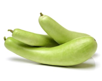 Semillas de calabaza de botella larga / Calabaza de calabaza, F1 / SIN OMG