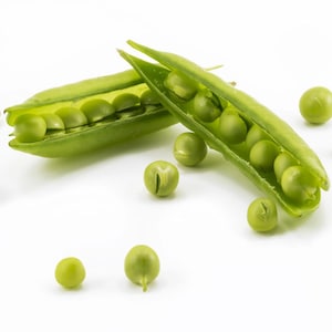 Sugar Ann Snap Pea Seeds, Early, and Compact, Heirloom, NON-GMO