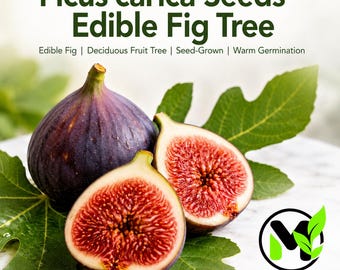 May include: Ficus carica seeds for an edible fig tree. The image shows one whole dark purple fig and two halves displaying red, seeded flesh, resting on green fig leaves. Text reads: Ficus carica Seeds - Edible Fig Tree, Edible Fig, Deciduous Fruit Tree, Seed-Grown, Warm Germination, and Mai's Family.