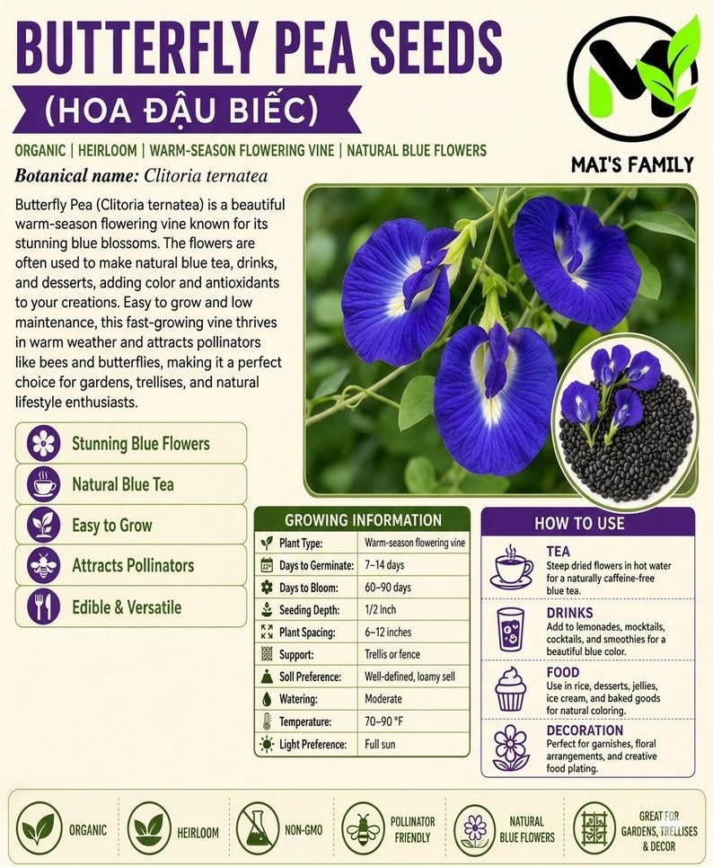 K&ouml;nnte beinhalten: Eine Infografik f&uuml;r Butterfly Pea Seeds, mit dem Text "Butterfly Pea Seeds" und "(Hoa Đậu Biếc)". Das Bild zeigt blaue Bl&uuml;ten, Samen und Details zu Anbau und Verwendung. Der Text sagt auch "Organic, Heirloom, Warm-Season Flowering Vine, Natural Blue Flowers".