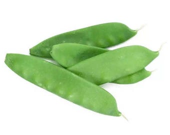 Semillas de guisantes de nieve Oregon Sugar Pod II, orgánicas, sin OMG