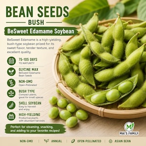 Könnte beinhalten: Nahaufnahme von frischen grünen Edamame-Sojabohnen in einem Weidenkorb. Das Bild enthält den Text "BEAN SEEDS" und "BeSweet Edamame Soybean". Der Text beschreibt die Bohnen auch als ertragreich, gentechnikfrei und leicht zu ernten.