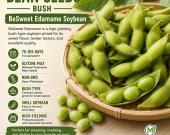 BeSweet Edamame Seeds, Non-GMO Open-Pollinated Bush Soybean, High-Yield Asian Vegetable Garden Seeds