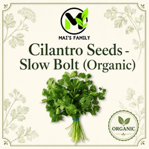 May include: A square product label for Mai's Family Cilantro Seeds - Slow Bolt (Organic). The design features a central bunch of fresh green cilantro tied with a blue band, surrounded by botanical illustrations and an organic certification seal.