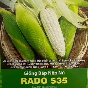 Puede incluir: Primer plano de dos mazorcas de ma&iacute;z blancas con hojas. El ma&iacute;z es una variedad llamada "RADO 535" y se describe como ma&iacute;z "pegajoso". El texto de la etiqueta tambi&eacute;n indica que el ma&iacute;z se cultiva en Vietnam y se puede cosechar 60-65 d&iacute;as despu&eacute;s de la siembra.
