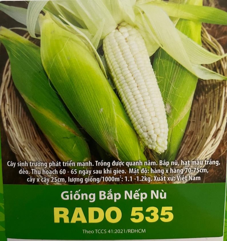 Puede incluir: Primer plano de dos mazorcas de ma&iacute;z blancas con hojas. El ma&iacute;z es una variedad llamada "RADO 535" y se describe como ma&iacute;z "pegajoso". El texto de la etiqueta tambi&eacute;n indica que el ma&iacute;z se cultiva en Vietnam y se puede cosechar 60-65 d&iacute;as despu&eacute;s de la siembra.