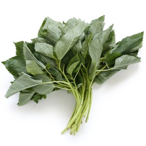 Molokhia - Egyptian Spinach Seeds,Rau Day,Saluyot, Jew mallow,po krachao,koshta,tororo no  HeirloomNon-GMO