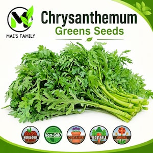 Chrysanthemum Greens Seeds | Shungiku Tong Ho Tan O Cai Cuc | Asian Leafy Vegetable
