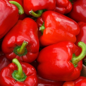 May include: A close-up of a pile of red bell peppers. The peppers are shiny and smooth, with a bright red color.
