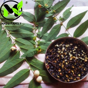 May include: A close-up of a bowl filled with black and white seeds. The bowl is sitting on a white surface with green leaves and white berries.