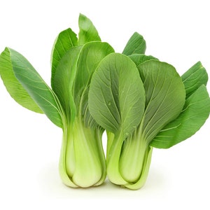 Green Stem Shanghai Bok Choy Seeds | Pak Choi Cabbage BIG SALE