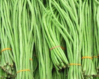 Yard Long Green Bean Seeds, Đậu Đũa | Non-GMO Garden Seeds from USA, Free Shipping