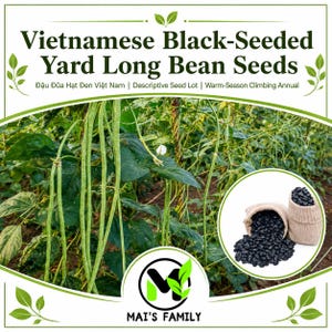 May include: Vietnamese Black-Seeded Yard Long Bean Seeds with text reading Vietnamese Black-Seeded Yard Long Bean Seeds, Đậu Đũa Hạt Đen Việt Nam, Descriptive Seed Lot, Warm-Season Climbing Annual, and MAI'S FAMILY. Includes a garden view and black beans.