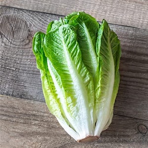 Peut inclure: Une tête de laitue romaine avec des feuilles vert clair et un cœur blanc.
