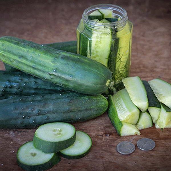 Marketmore 76 Cucumber Seeds | NON-GMO | Heirloom | Fresh Garden Seeds
