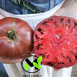 Cherokee Purple Tomato Seeds, Heirloom, NON-GMO