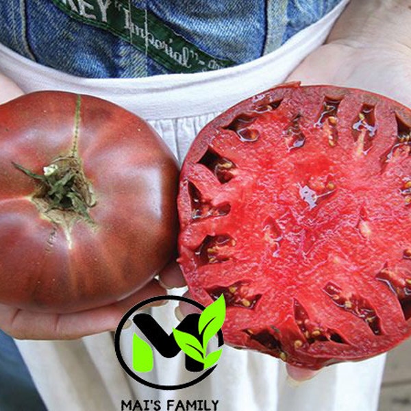 Cherokee Purple Tomato Seeds, Heirloom, NON-GMO