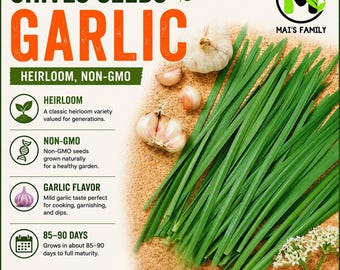 Garlic Chives Seeds, Heirloom Non-GMO Herb , Allium tuberosum
