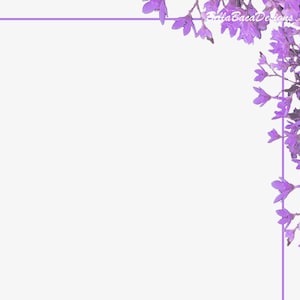 Afdrukbare mooie lavendel paarse bloemen paginarand ontwerpen A4 PNG PDF digitale downloadafbeeldingen
