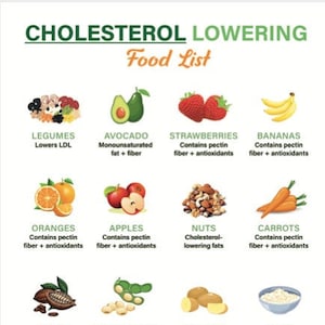 Cholesterol Lowering Food Chart | Low Cholesterol Food Guide | Cholesterol Lowering Food List | A4 Size | Instant Download