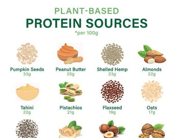 Plant Based Protein Chart | Plant Based Protein List | Plant Based Protein Grocery List | A4 | Instant Download