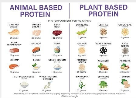 Plant Based Protein Vs Animal Based Protein Chart High Protein Meal ...