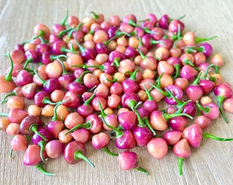 Cheiro Roxa Pepper Seeds - Very Flavorful and Spicy Pepper - Amazing for food dishes and more!