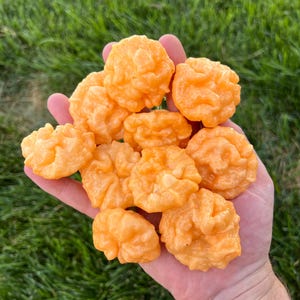 GOAT BRAINS Hot Pepper Seeds Pack - Non-GMO Organic Hot Pepper. Great for gardening gift seeds, and cooking!