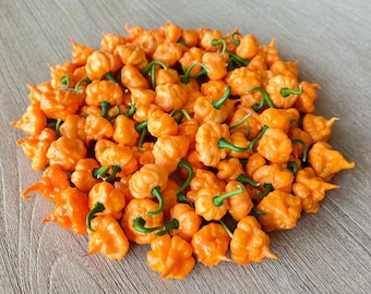 Peach Starrkist Pepper Seeds (KSPS) Khang Starr Creation, Hot Pepper Variety, Great for cooking, gardener gifts and more!