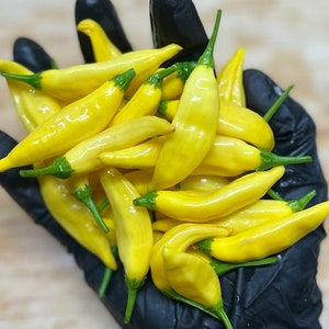 May include: A close-up of a handful of bright yellow chili peppers. The peppers are smooth and glossy, with a slightly curved shape.